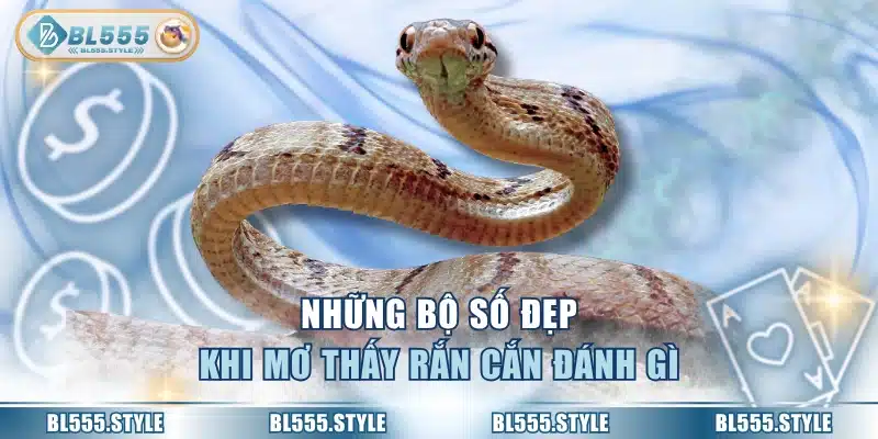 Những bộ số đẹp khi mơ thấy rắn cắn đánh gì