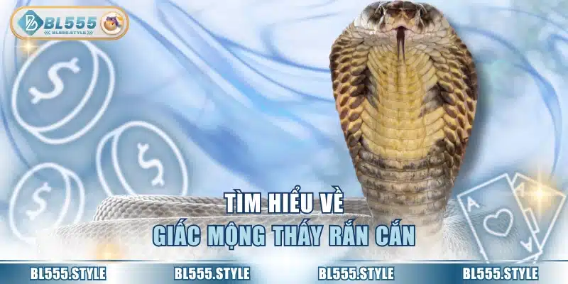 Tìm hiểu về giấc mộng thấy rắn cắn